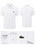 Lacoste polo collar tshirt